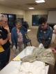 Michael examines a Cairns Post newspaper print dress held at Mulgrave Settlers Museum